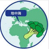 f0231709_2044434.gif