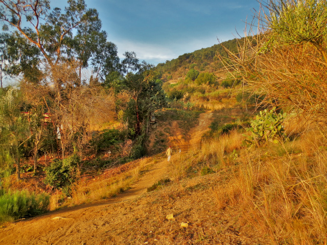 b0064411_08164660.jpg