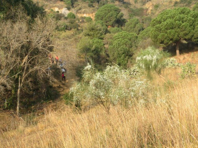 b0064411_08223900.jpg