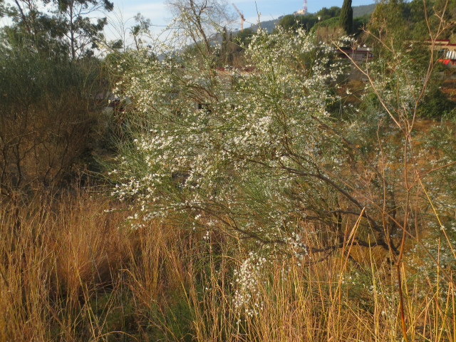 b0064411_08284121.jpg