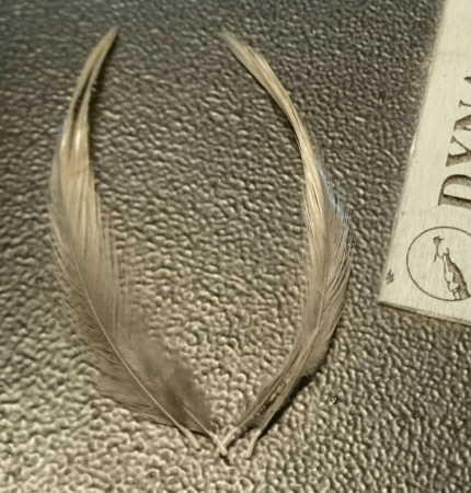 b0259124_22180327.jpg