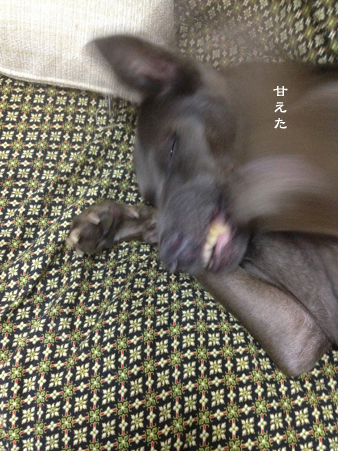 d0042827_13373659.jpg