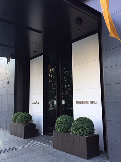 b0035734_16572015.jpg