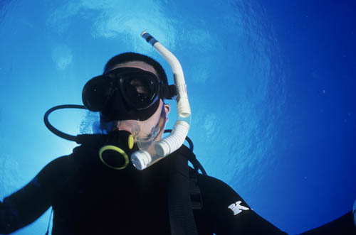 b0042837_227155.jpg