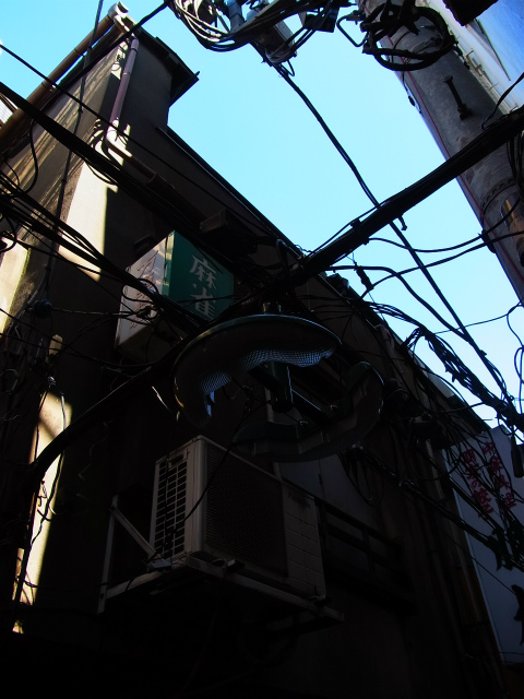 a0087341_1474457.jpg