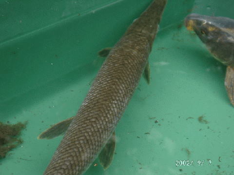 e0041047_05341101.jpg