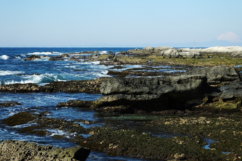 b0236251_931354.jpg
