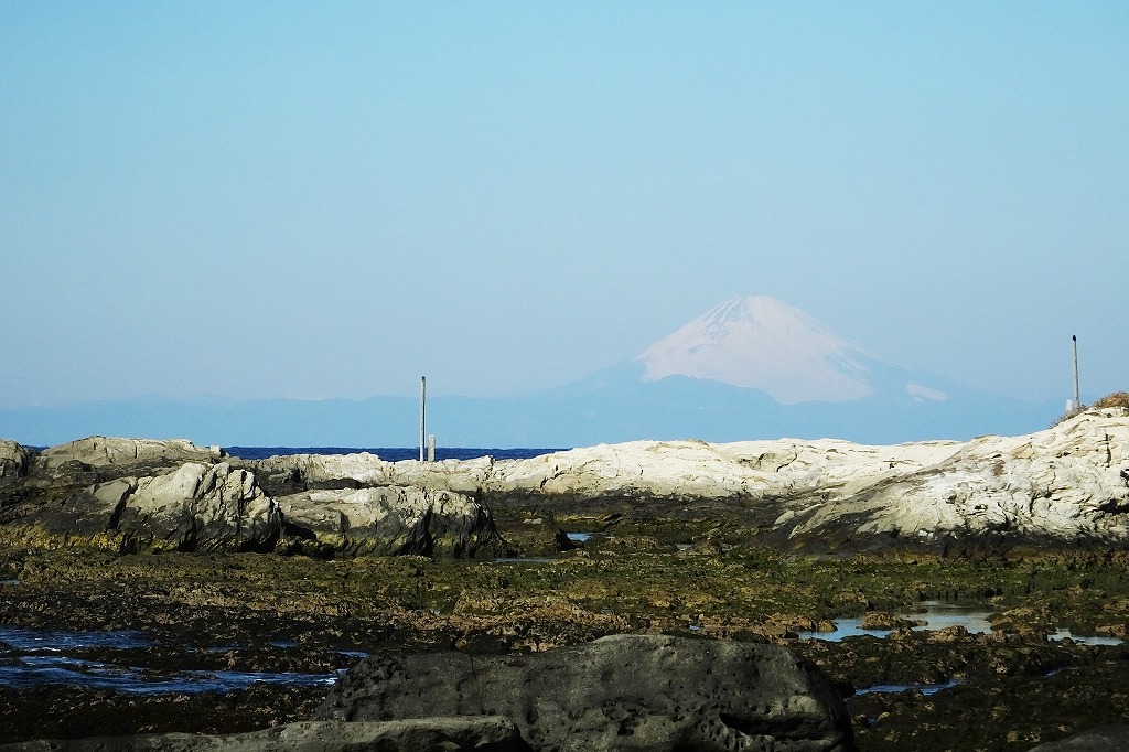 b0236251_9314248.jpg