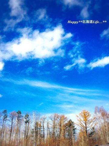 a0337860_23123237.jpeg