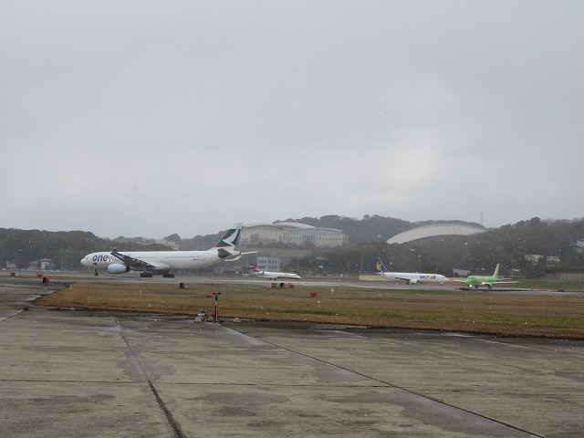 b0096463_8584372.jpg