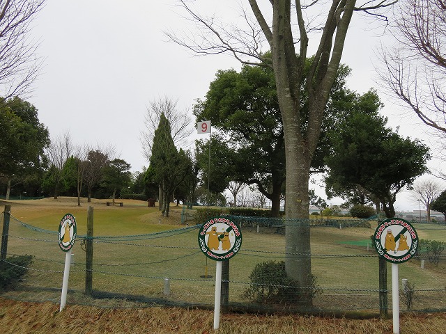 b0096463_859992.jpg