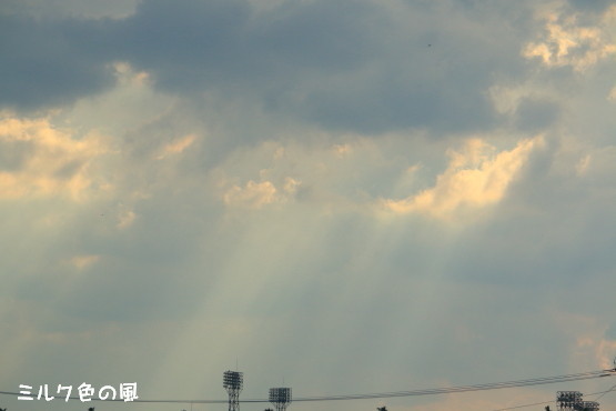 c0368870_11144163.jpg