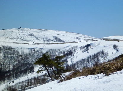 e0077899_849255.jpg