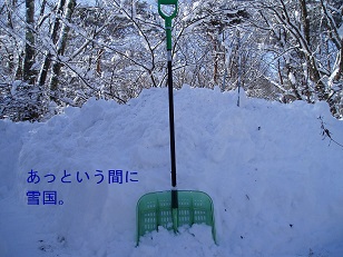 b0200310_19241188.jpg