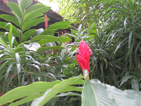 e0041217_16473546.jpg