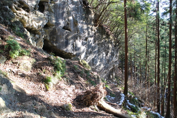 c0210618_22211599.jpg