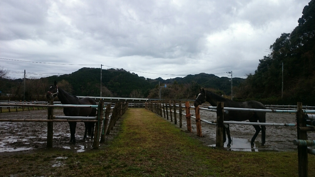 b0187620_21114571.jpg