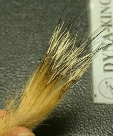 b0259124_23202144.jpg
