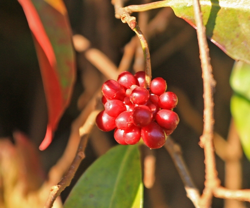 c0104227_21514660.jpg
