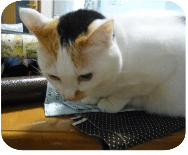 a0278632_17161685.gif