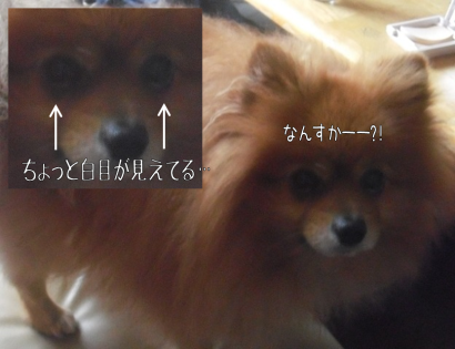 d0196736_12254805.png