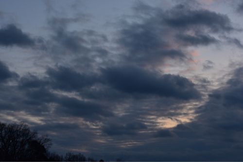 a0343740_20355357.jpg