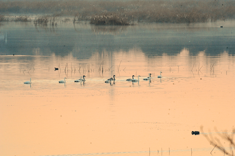 d0290240_09425529.gif