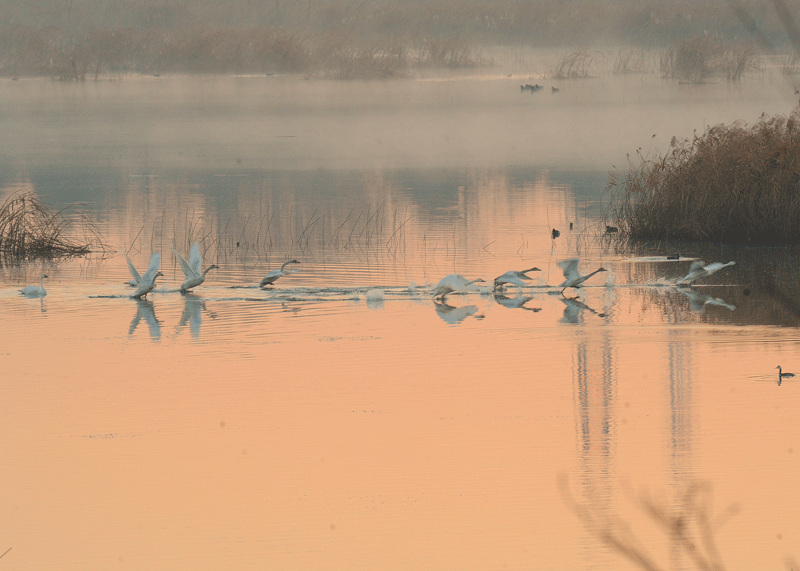d0290240_09430580.gif