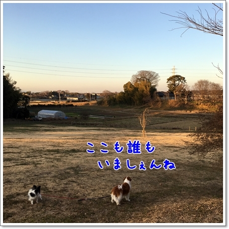 d0013149_01300838.jpg