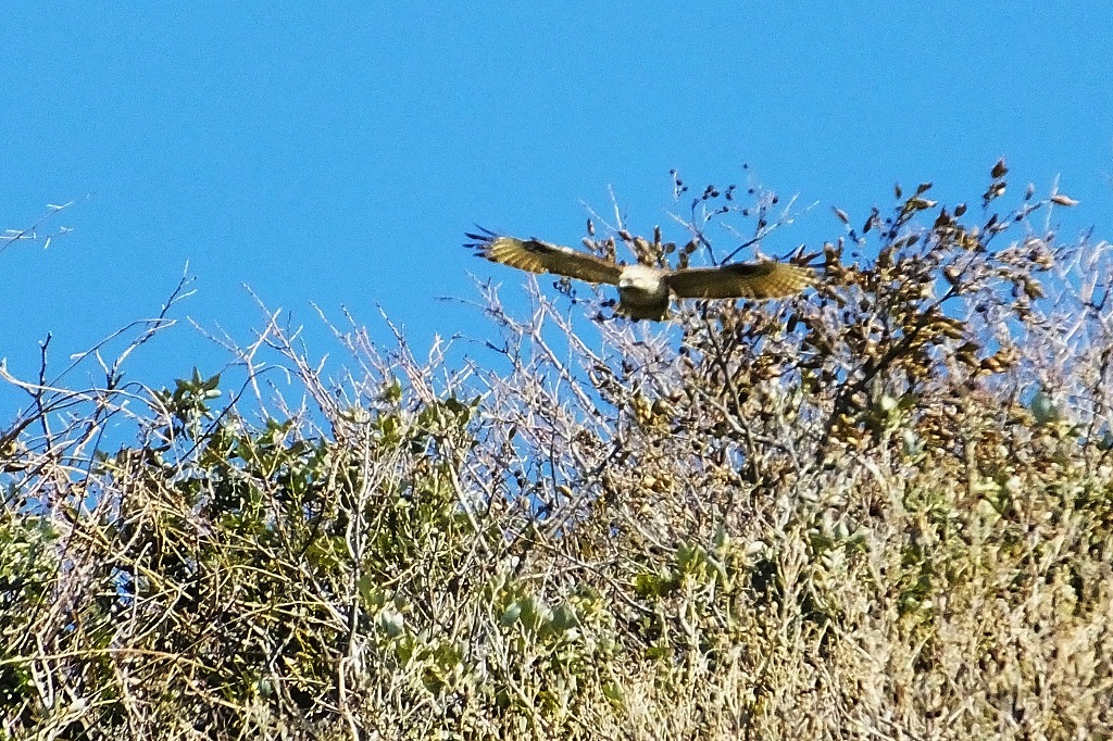 b0236251_10233265.jpg