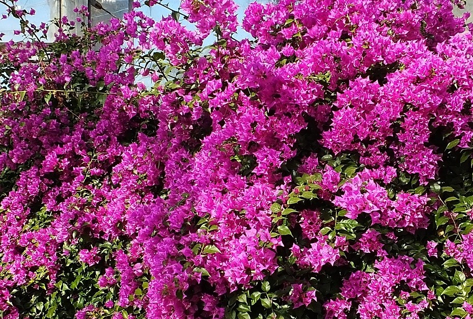 b0236251_10261090.jpg