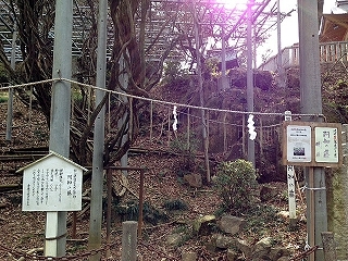 d0031853_03291090.jpg