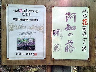 d0031853_03295742.jpg