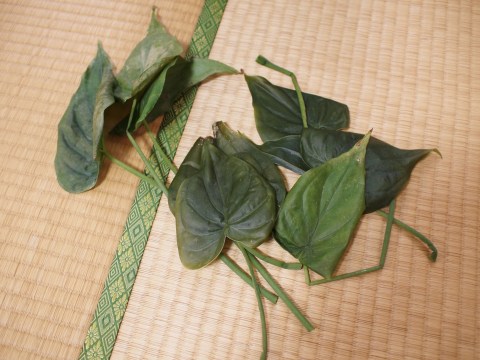 e0045768_214572.jpg