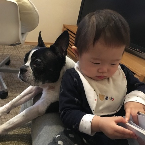 d0041575_21495542.jpeg