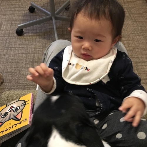 d0041575_21510049.jpeg
