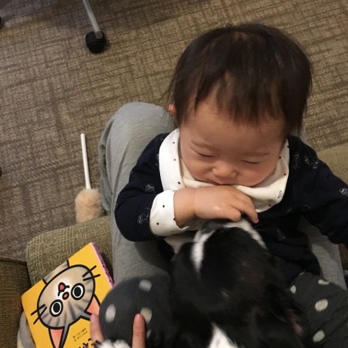 d0041575_21530463.jpeg