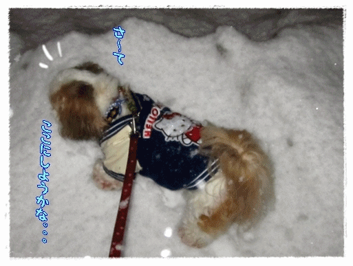f0213476_21463336.gif