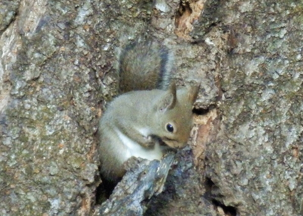 a0091680_00000083.jpg