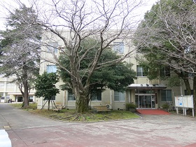 e0130185_17372599.jpg