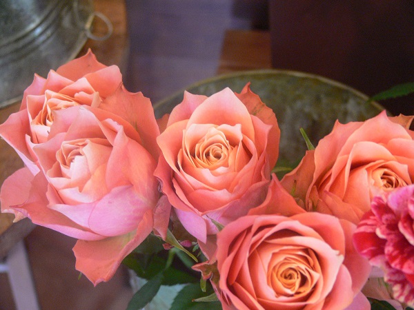 e0140986_1112870.jpg