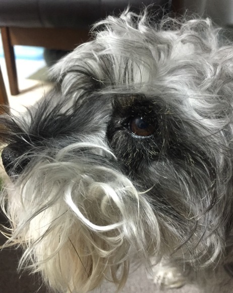 b0188998_18362234.jpeg
