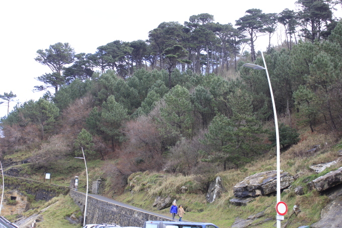 c0107901_07514877.jpg