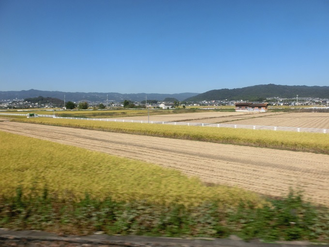 d0004301_10283647.jpg