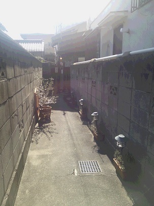 c0152002_17372878.jpg