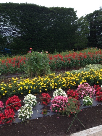 f0250403_15041412.jpg