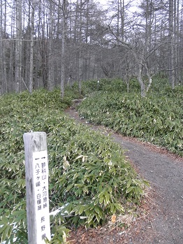 d0032405_2116221.jpg