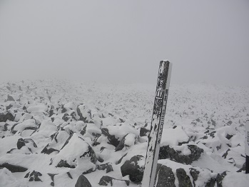 d0032405_21213027.jpg