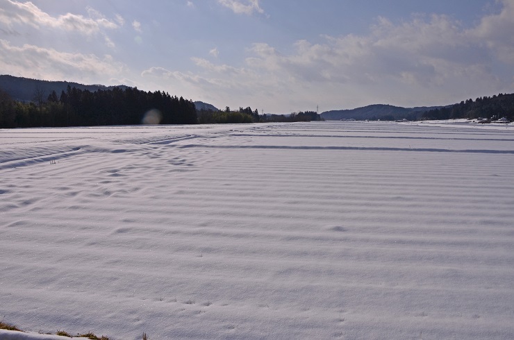 e0349817_21065028.jpg