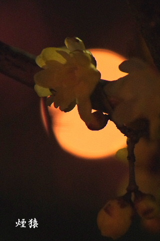 f0212217_18413572.jpg